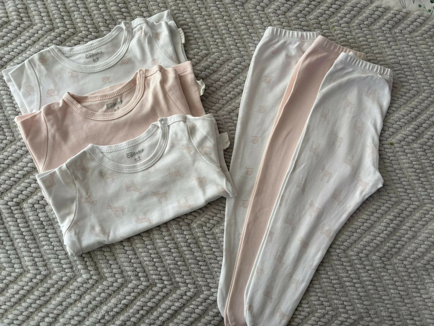 Pack Bodies y Panties Colloky 6-9 meses