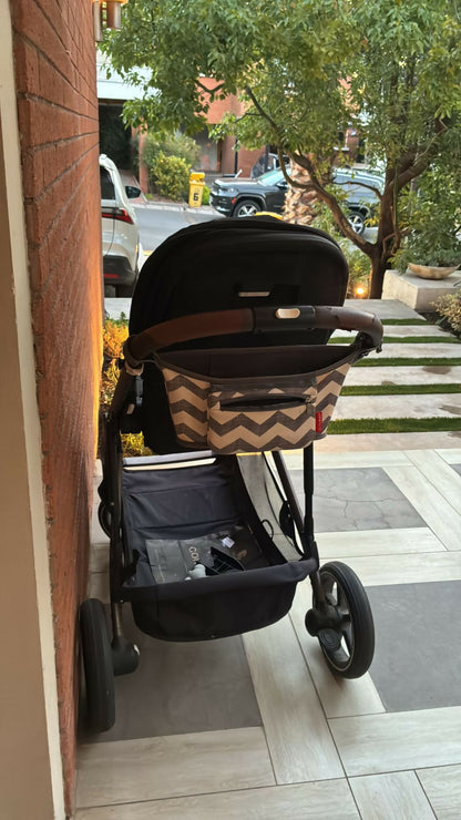 Coche Cybex Gazelle S + silla auto nido Aton G