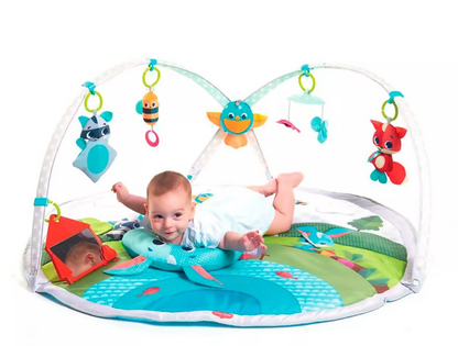 Gimnasio Dynamic Gymini